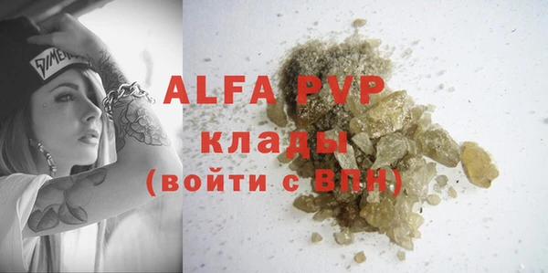 шишки Арсеньев