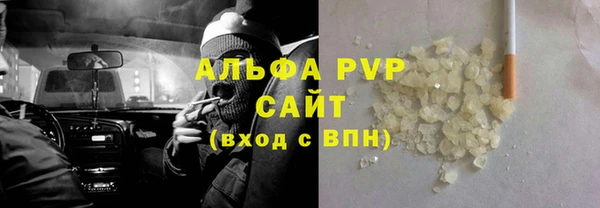 шишки Арсеньев