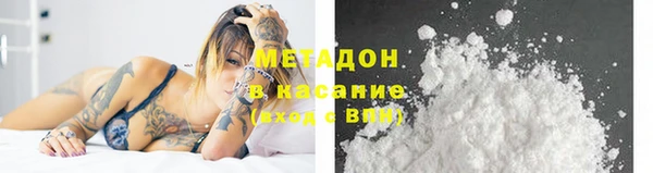 шишки Арсеньев