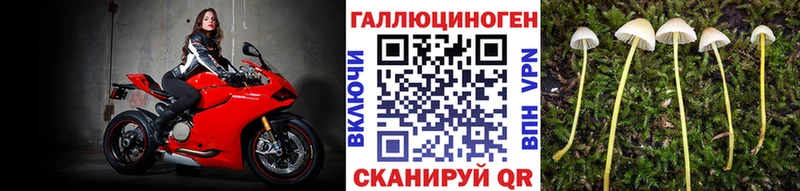 Псилоцибиновые грибы Magic Shrooms  наркошоп  hydra ССЫЛКА  Кинель 