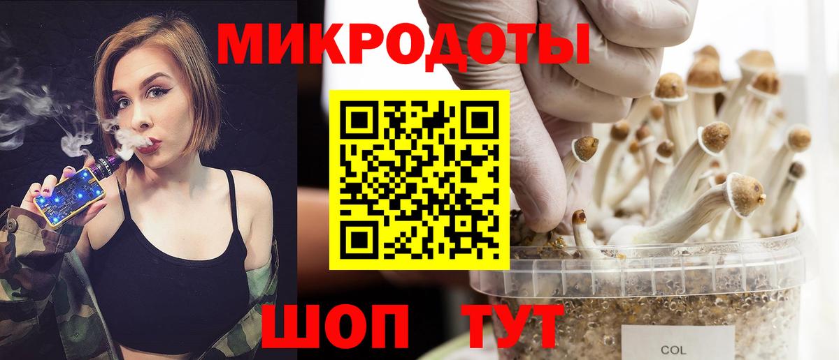 Кинель  Псилоцибиновые грибы Cubensis  Вход с VPN 