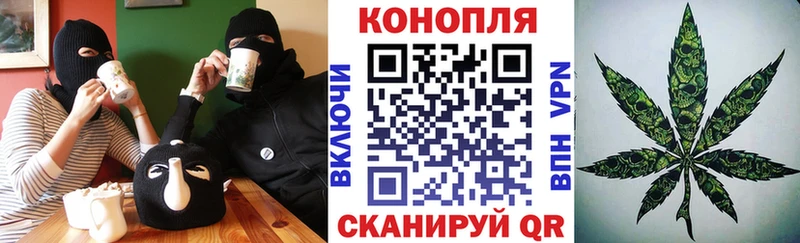как найти наркотики  Кинель  Марихуана тримм 