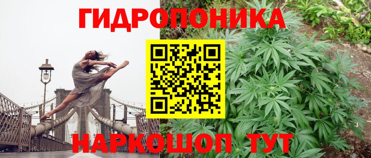 Канабис ГИДРОПОН Кинель